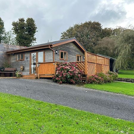 Swansea Log Cabin Pontardawe Eksteriør bilde