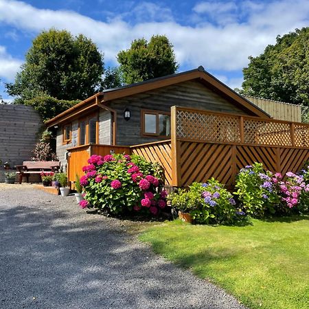 Swansea Log Cabin Pontardawe Eksteriør bilde