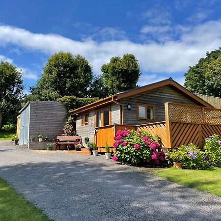 Swansea Log Cabin Pontardawe Eksteriør bilde