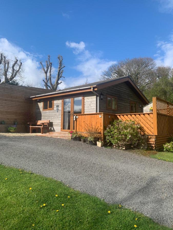 Swansea Log Cabin Pontardawe Eksteriør bilde