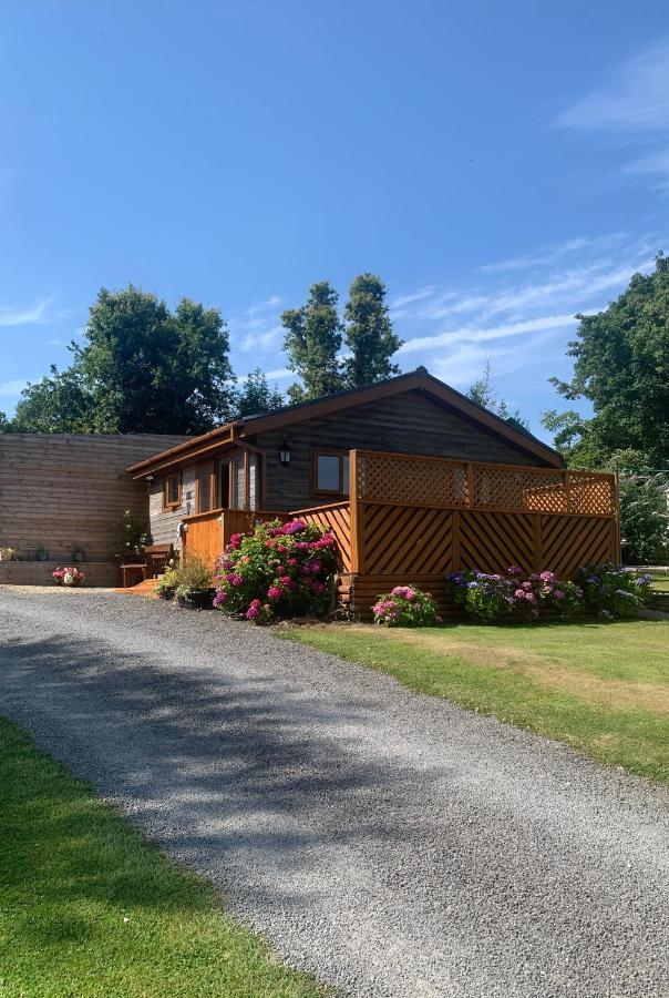 Swansea Log Cabin Pontardawe Eksteriør bilde