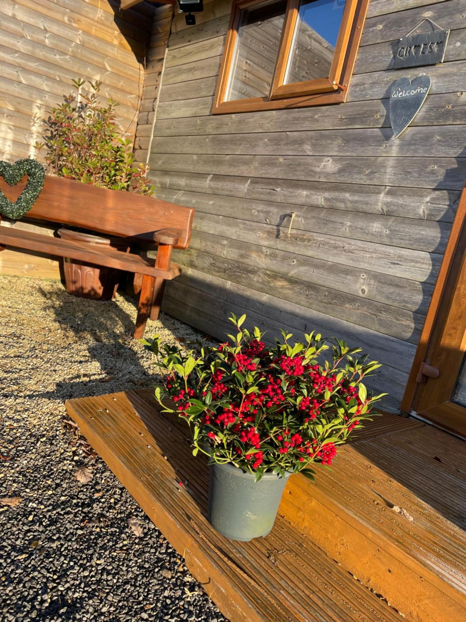 Swansea Log Cabin Pontardawe Eksteriør bilde