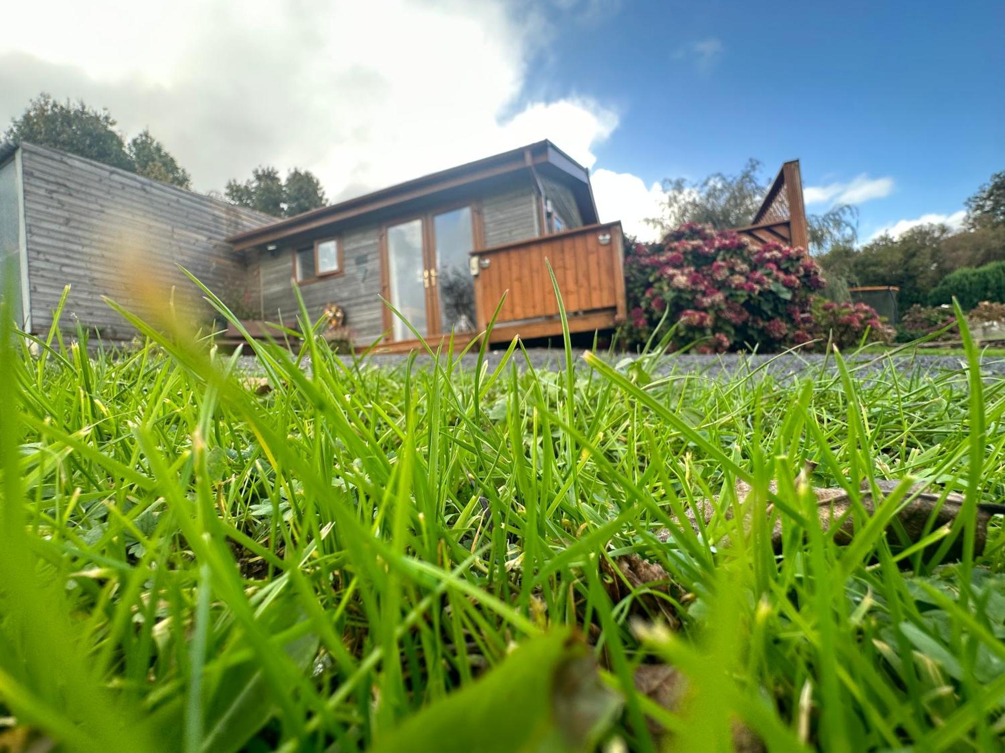 Swansea Log Cabin Pontardawe Eksteriør bilde