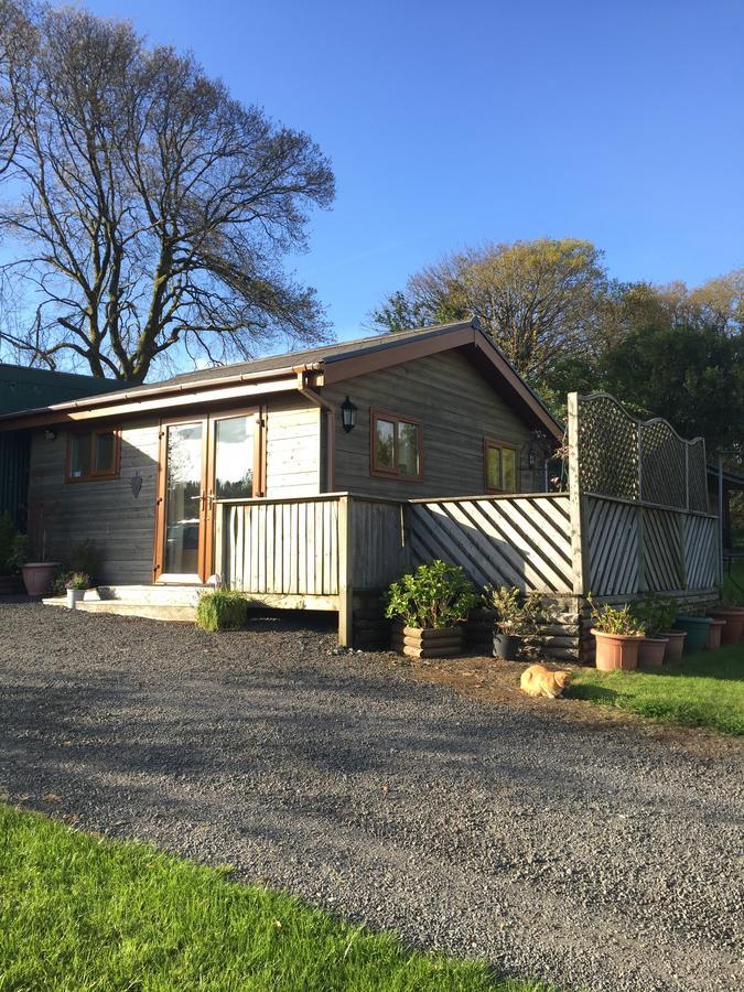 Swansea Log Cabin Pontardawe Eksteriør bilde