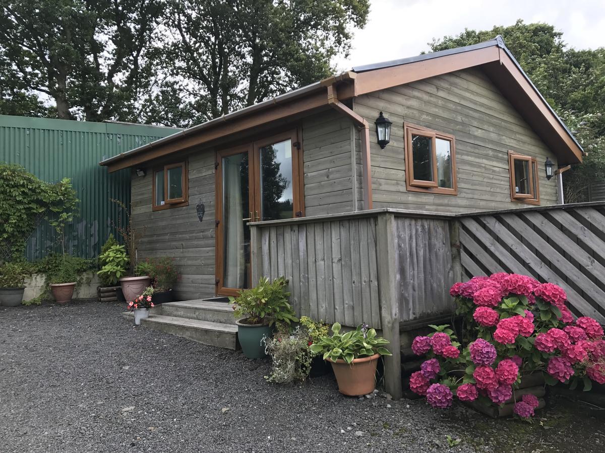 Swansea Log Cabin Pontardawe Eksteriør bilde