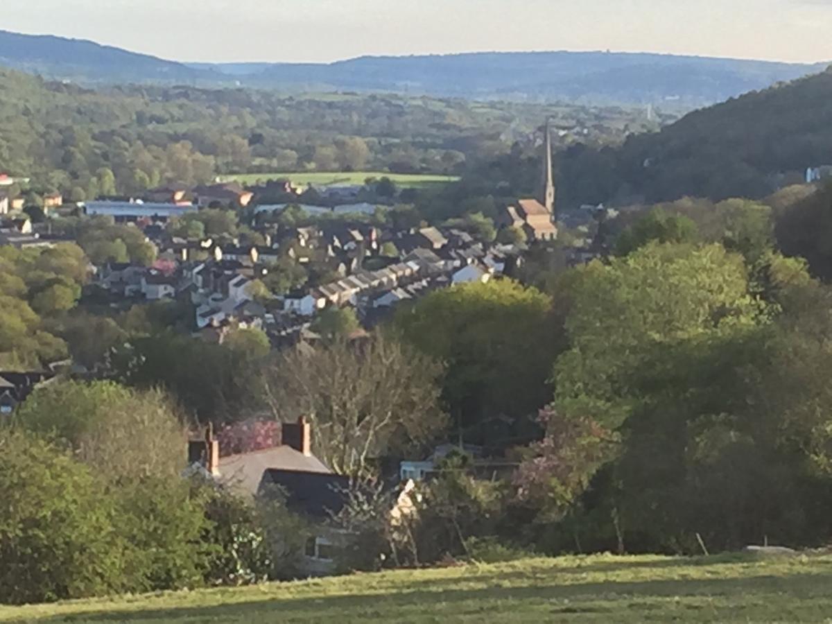 Swansea Log Cabin Pontardawe Eksteriør bilde