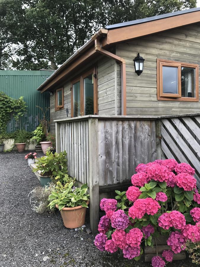 Swansea Log Cabin Pontardawe Eksteriør bilde